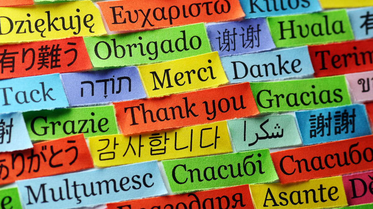 4 мифа об изучении иностранного языка