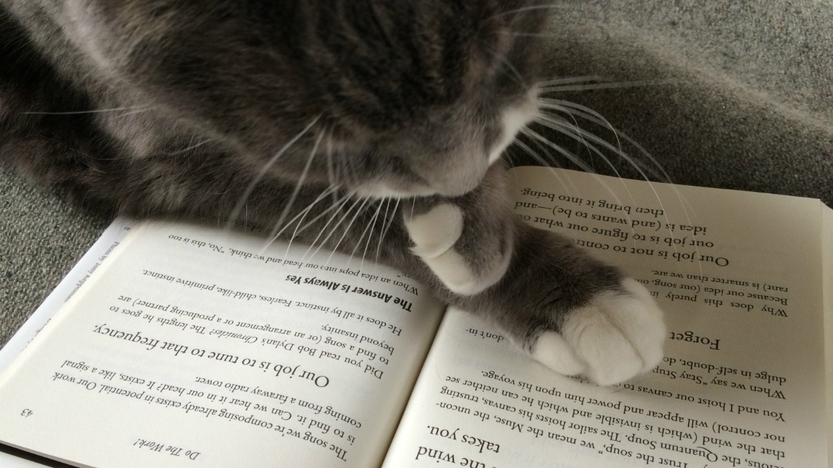 Работа переводчика изнутри: верить ли переводам английских книг
