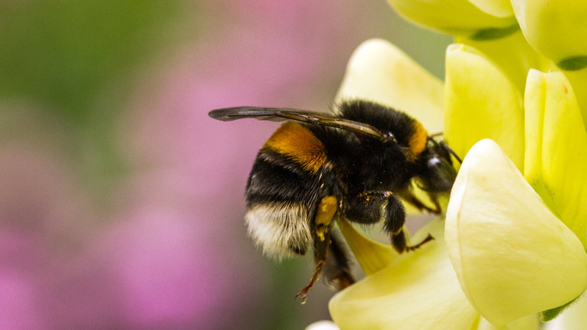 Альбіна Антоненкова: «Щотижня я приймаю в штат нових співробітників, і ось які правила підбору “своїх людей” вивела»