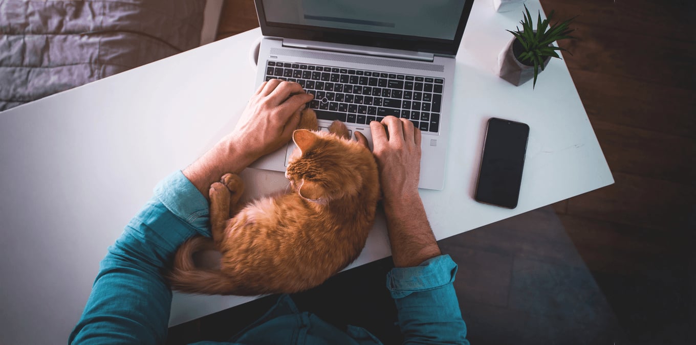 Робота для тих, хто не хоче виходити з дому: добірка віддалених вакансій