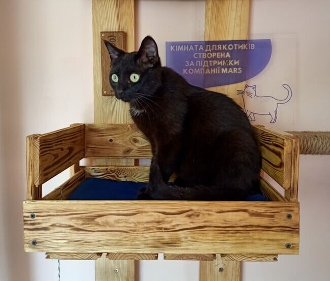 Фото компании mars.com