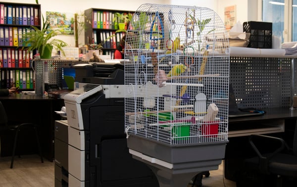 С такими коллегами в &laquo;Сузір&rsquo;ї&raquo; работать одно удовольствие