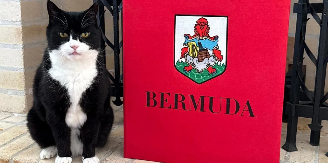 Фото: Foreign, Commonwealth &amp; Development Office