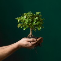Планируется появление миллионов «зеленых» рабочих мест