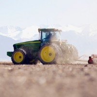 Агробизнесу не хватает специалистов
