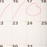 Открыт новый раздел «Профессиональные праздники»