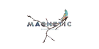 Magnetic brand clothes