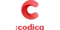 Codica, IT-компанія