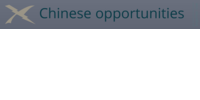 Chinese opportunities