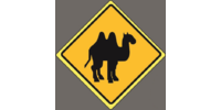 Camel таксі