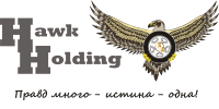 Hawk Holding