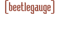 BeetleGauge, дизайн-студия