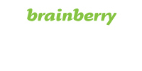 Brainberry