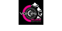Voices, karaoke louge club