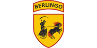 210 окремий спеціальний батальйон (Berlingo)