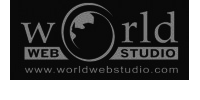 World Web Studio