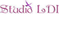 Studio LDI Entertainment