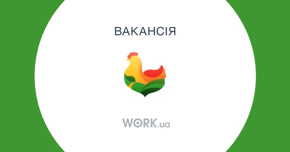 вакансия бухгалтер удаленно москва и московская область вакансия бухгалтер удаленно москва и московская область