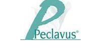 Peclavus Hellmut Ruck GmbH Lviv