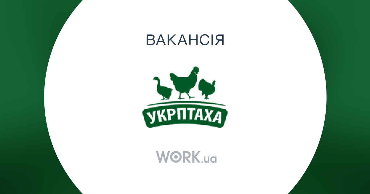 вакансия бухгалтера на дому калининград вакансия бухгалтера на дому калининград