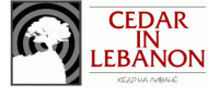 Кедр на Ливане