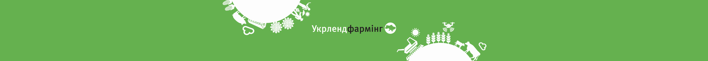 Банер