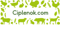 Ciplenok.com