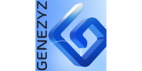 Genezyz, компанія інформаційних технологій