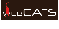WebCats, digital-агентство