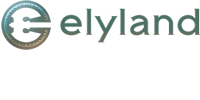 Elyland Investment Company Limited