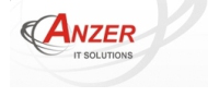 Anzer IT Healthcare Inc