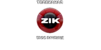 ZIK, телеканал