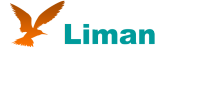 Liman, IT-компания