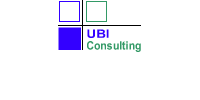 UBI Consulting