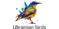 Ukrainian birds