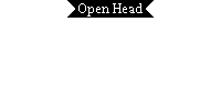 Open Head