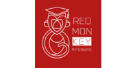 Redmonkey, ІТ-академія
