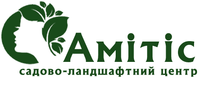 Аmitis