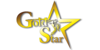 Gold Star Dance, школа сучасного танцю