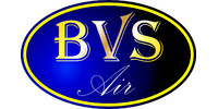 BVS Air, группа компаний