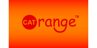 Cat Orange