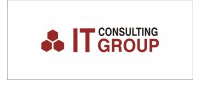 IT Consulting Group