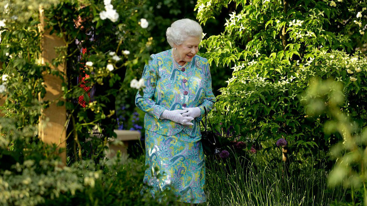 У палаці англійської королеви нова вакансія. Платять 2500 гривень на день