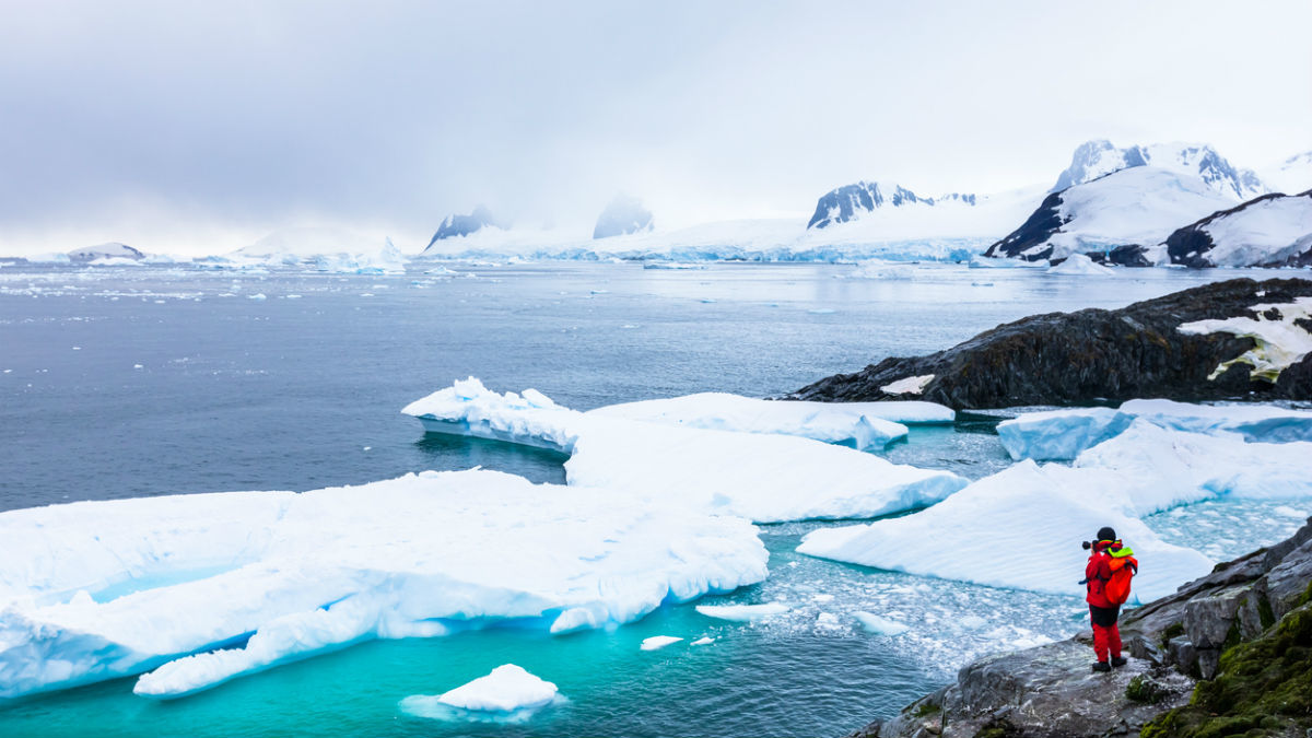 Горячая вакансия в холодной Антарктиде: на станцию требуются работники