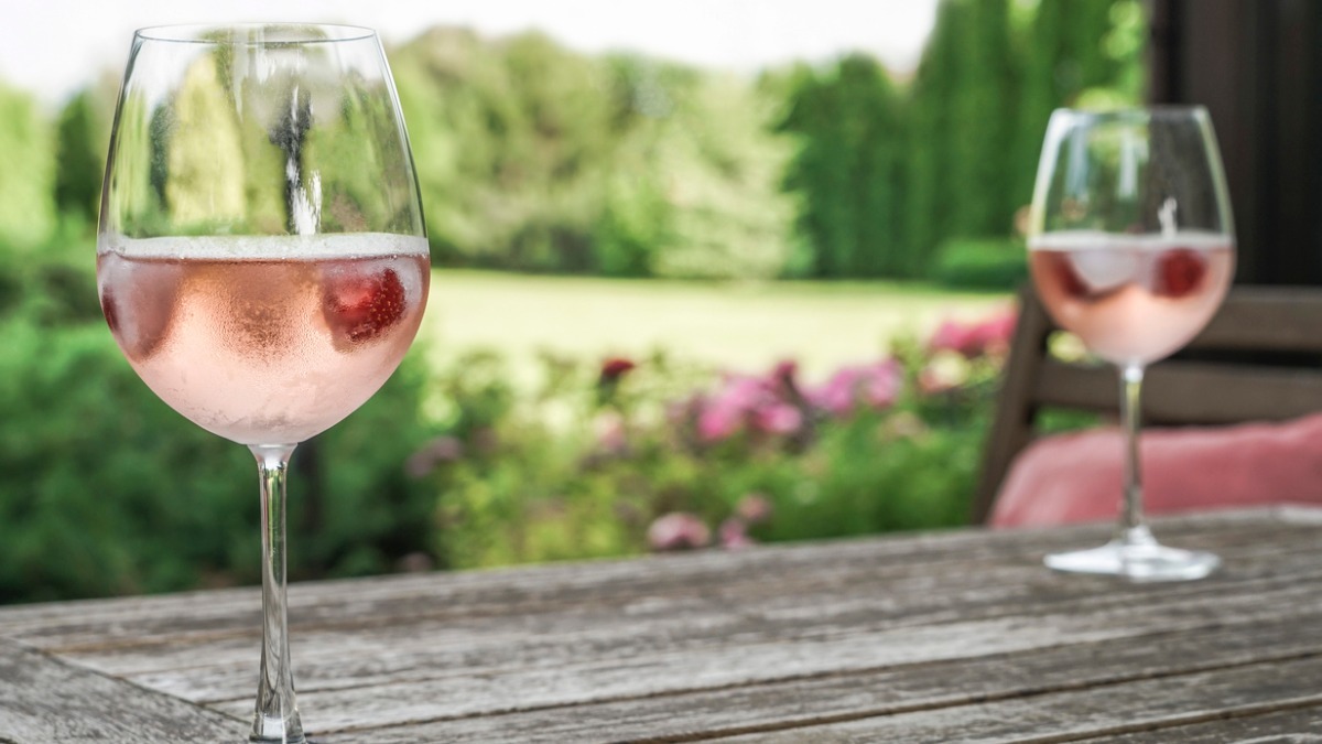 Пити вино та отримувати зарплату — шукають дегустатора хорватських вин