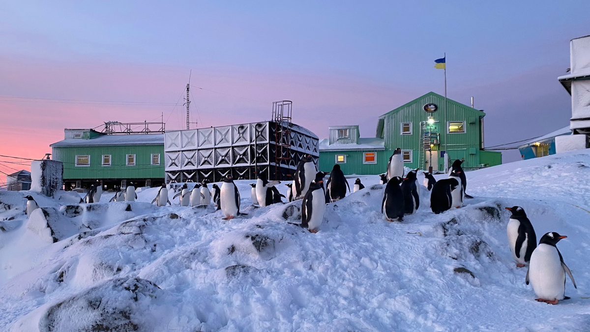 Вперед, к пингвинам: на станцию ​​«Академик Вернадский» ищут 12 зимовщиков и зимовщиц
