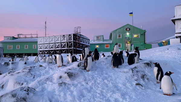 Вирушити в антарктичну експедицію — на станцію «Академік Вернадський» шукають зимівників і зимівниць