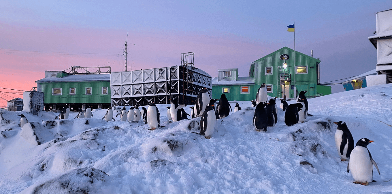 Долучайтеся до арктичної експедиції: шукають співробітників на станцію «Академік Вернадський»